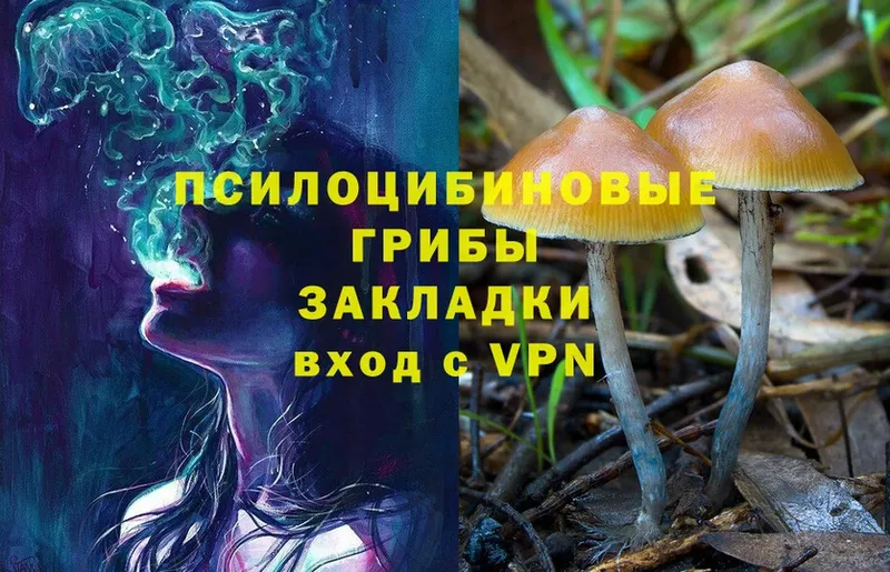 Купить наркотики сайты Валуйки Каннабис  Псилоцибиновые грибы  MDMA  МЕФ  A-PVP  АМФ 